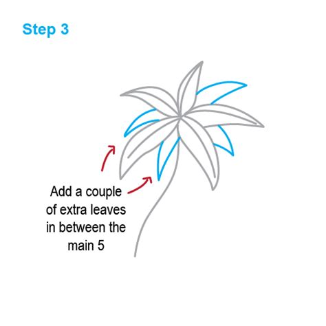 How To Draw How To Draw A Palm Tree