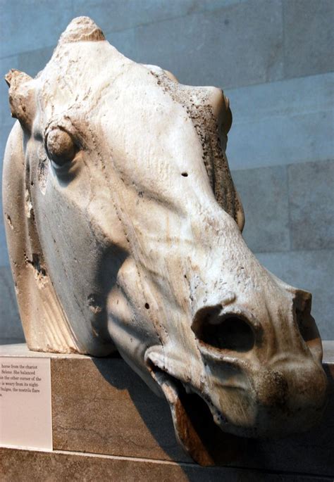 Head Of A Horse Of Selene From The East Pediment Of The Parthenon 447