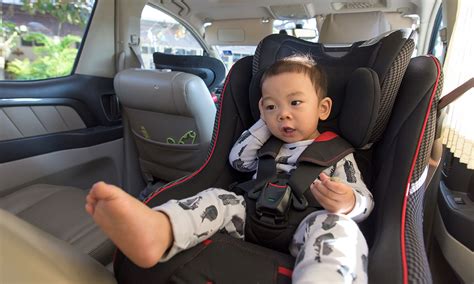 If a child has a fever, when are they allowed back to child care? Child car seat laws you need to know - Which? News