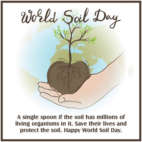 World Soil Day Message Best Slogans On World Soil Day