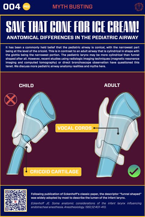 The Pediatric Airway Introduction The Protected Airway Collaborative