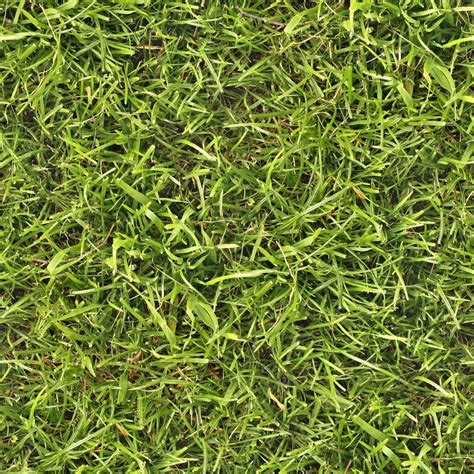 Seamless Grass Texture By ~hhh316 On Deviantart Grass Textures Seamless Textures Plant Texture