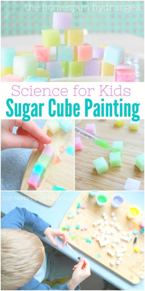 Stem Activities For Kids Water Color Sugar Cubes Hortensja Domowa Les