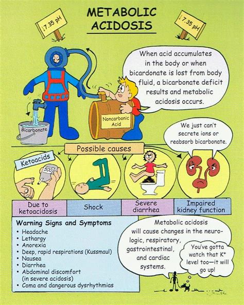 Pin On Nursing Homeostasis