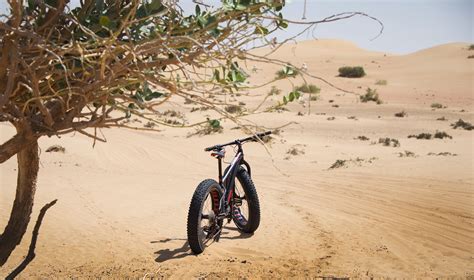 10 Reasons To Take A Desert Fat Bike Ride Platinum Heritage