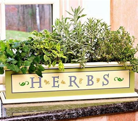 Indoor Herb Garden How To Create A Spectacular And Useful