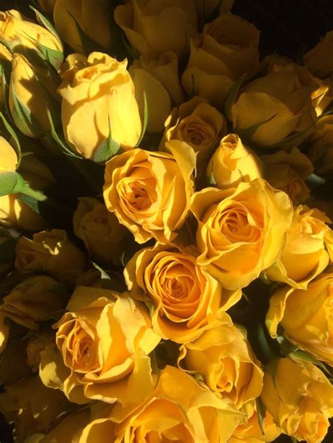 Pastelgoblin “ ” Yellow Aesthetic Flower Aesthetic Yellow Roses