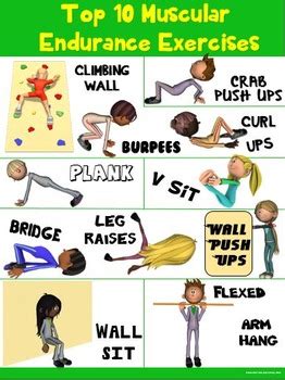 Check spelling or type a new query. PE Poster: Top 10 Muscular Endurance Exercises by Cap'n ...
