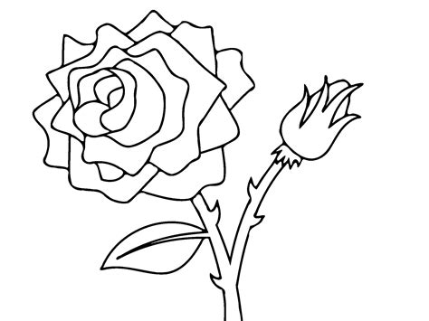 Red Rose Coloring Page At Getdrawings Free Download