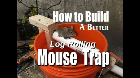 How To Make A Better Log Rolling Bucket Mouse Trap Easy Diy Project