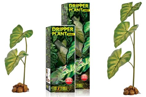 Exo Terra Dripper Plant Online Kopen → Dierencompleetnl