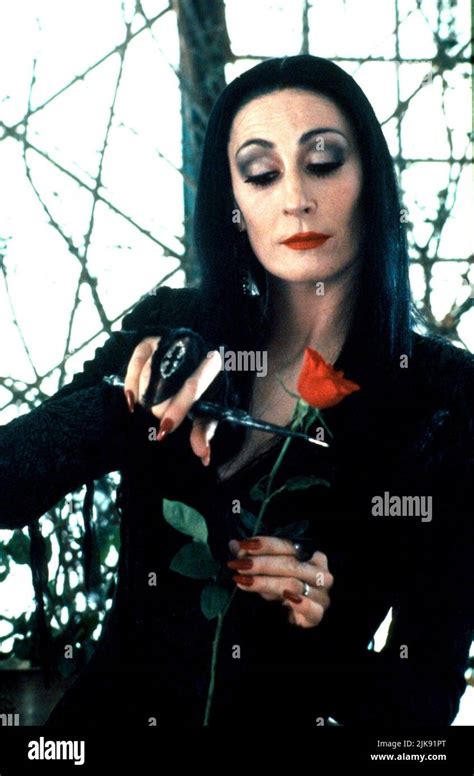 Top 129 Imagenes De La Morticia Destinomexicomx