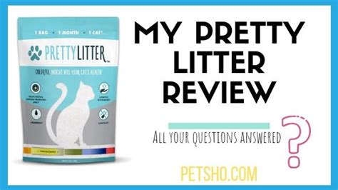 Pretty Litter Reviews Read First Before You Subscribe 2019