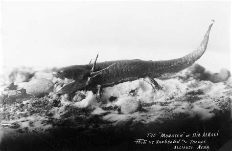 Nebraskas Very Own Terrifying Lake Monster Lives In Lake Walgren In