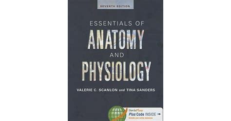 Essentials Of Anatomy And Physiology By Valerie C Scanlon
