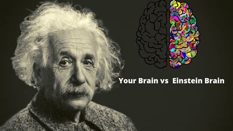 Einstein Brain Vs Normal Brain How Albert Einstein Is Really