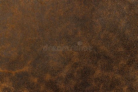 Brown Leather Texture Stock Photo Image Of Luxury Business 37716080
