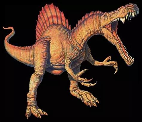 Spinosaurus The Largest Carnivorous Dinosaur