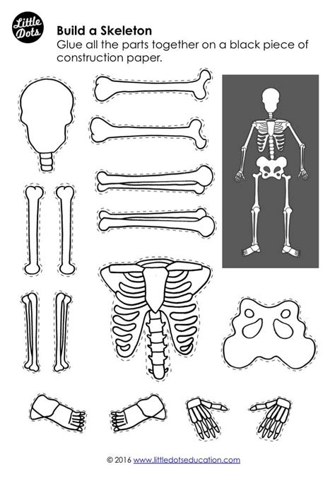 Skeleton Printables For Preschoolers Basic Maths Concepts Worksheets