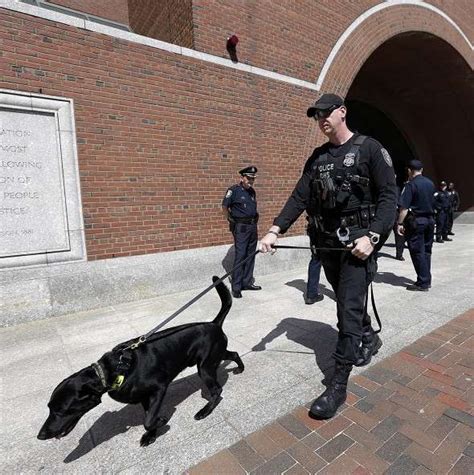 Boston Bomb Suspects Friend Bailed World News Uk