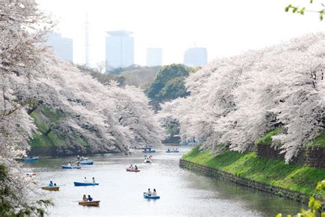 viagens sensacionais para fazer ao menos uma vez na vida Viagem ao japão Viagens e Lugares