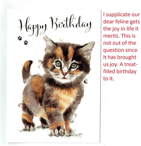 Cute Cat Birthday Greetings The Cake Boutique
