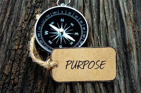 What Is Purpose?