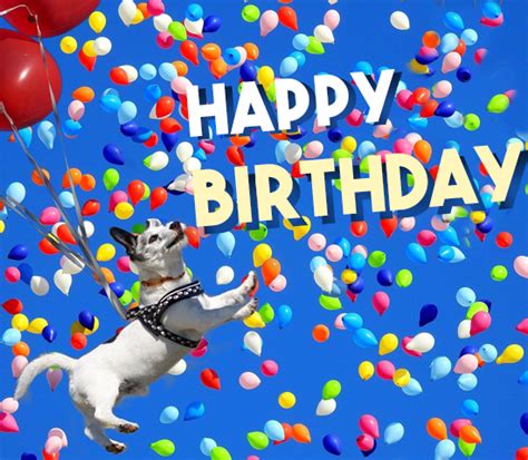 Colorful Balloons Birthday Puppy Free Happy Birthday Ecards 123 Greetings