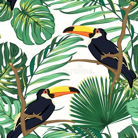 Toucan Birds Natural Habitat In Exotic Tropical Jungle Rainforest Fern