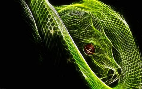 Green Snake Wallpapers Top Free Green Snake Backgrounds Wallpaperaccess