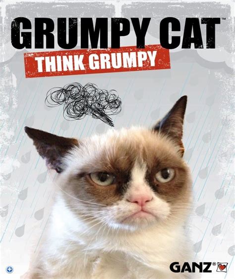 I Just Couldnt Be Grumpier About Ganz Landing The Grumpy Cat License