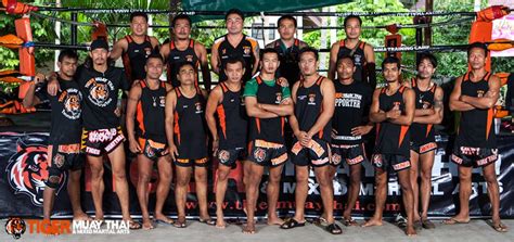 the trainers at tiger muay thai phuket