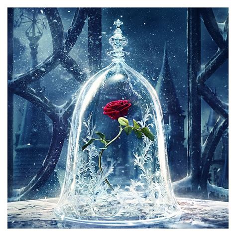 [24+] Beauty And The Beast Rose Wallpapers on WallpaperSafari