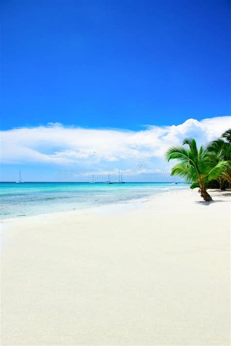 Sandy Sea Beach Caribbean Dominican Stock Photo - Image of calm, foam ...