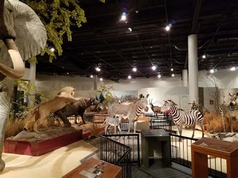 Zoo Great Plains Zoo And Delbridge Museum Of Natural History Reviews