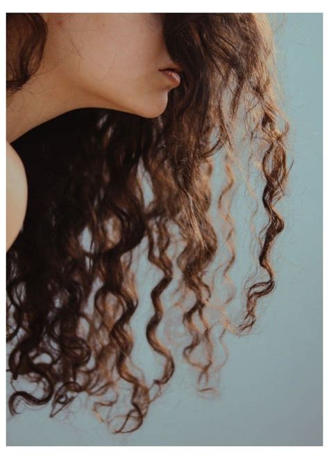 Brown Hair Aesthetic Curly Brown Hair Vintage Girl Portrait Aesthetic In 2020 Curly Hair