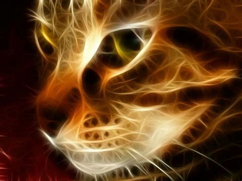 Mystical And Enchanting Image By Jenny Zee Warrior Cats Cat Wallpaper