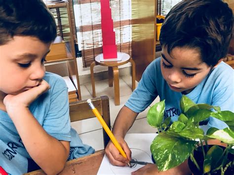 Porque Un Ambiente Mi Escuelita Montessori De Guaynabo