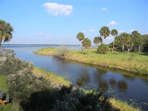 The Unknown Florida Myakka River State Park Sarasota Fl