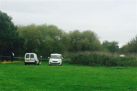 Alice Gross Detectives Say Search At Elthorne Park Has Yielded No Clues Mylondon
