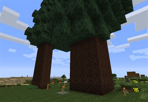 How To Find Dark Oak Trees In Minecraft Mast Producing Trees
