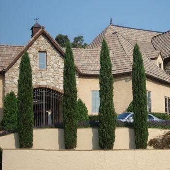 As its name suggests, evergreen trees keep their green leaves all year long. Growing Zone 9 Trees | Fast Growing Trees - italian ...