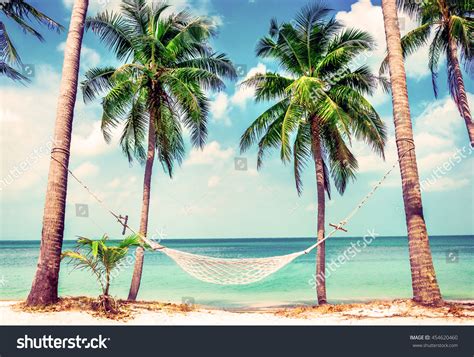 Beautiful Beach Hammock Between Two Palm Stock Photo 454620460