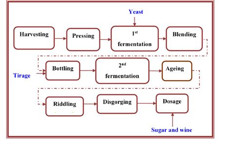 A Flow Diagram Of The Stages Of The Sparkling Winemaking Process The