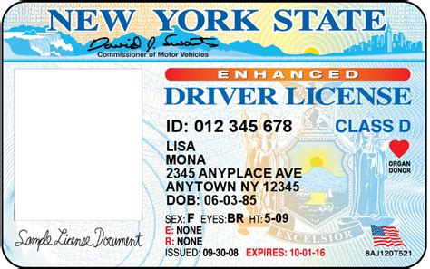 Blank Drivers License Template 1 Templates Example Templates Example