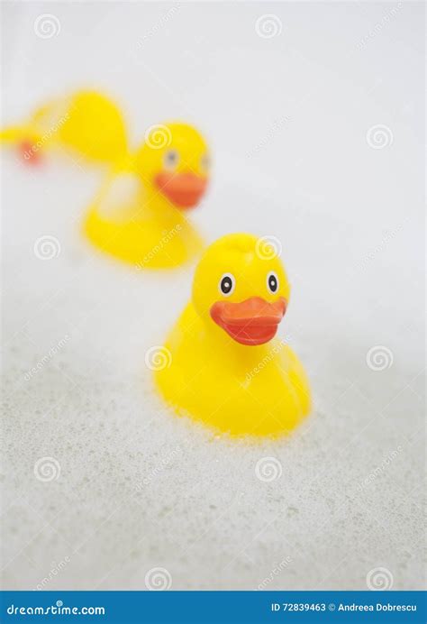 Row Of Rubber Ducks Stock Image Image Of Rubber Pink 72839463