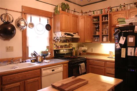Kitchen cabinets can accumulate grease and other food particles over time. CLEANING KITCHEN CABINET DOORS : CABINET DOORS - ALLERGY ...