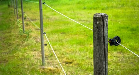It also buys valuable reaction time that is usually. Install Electric Fence For Garden - Garden Design Ideas