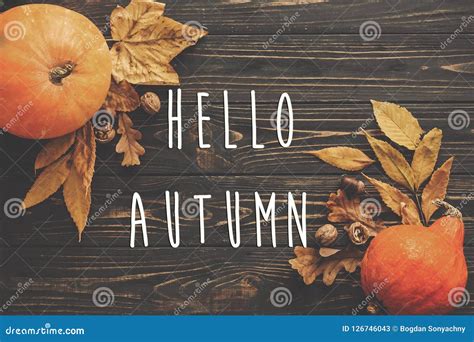Hello Autumn Text Hello Fall Sign On Pumpkin Autumn Vegetables Stock