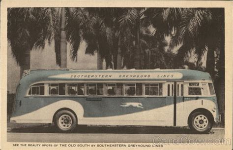 Southeastern Greyhound Lines Buses Postcard